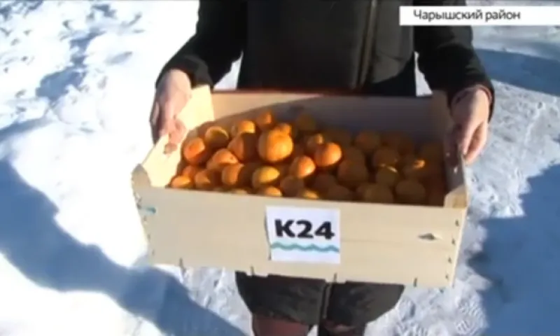 Корреспонденты телеканала «Катунь 24» подарили ящик мандаринов Семёну Кинжакову