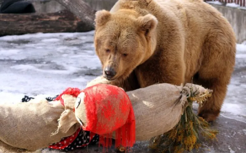 «Звериная Масленица» пройдёт в барнаульском зоопарке