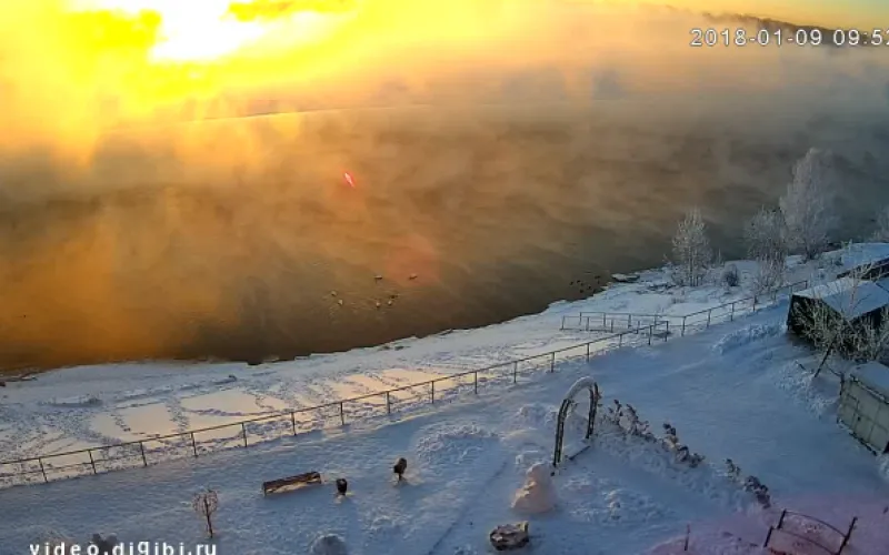 Веб-камеры: волшебный рассвет с лебедями в посёлке Молодёжный