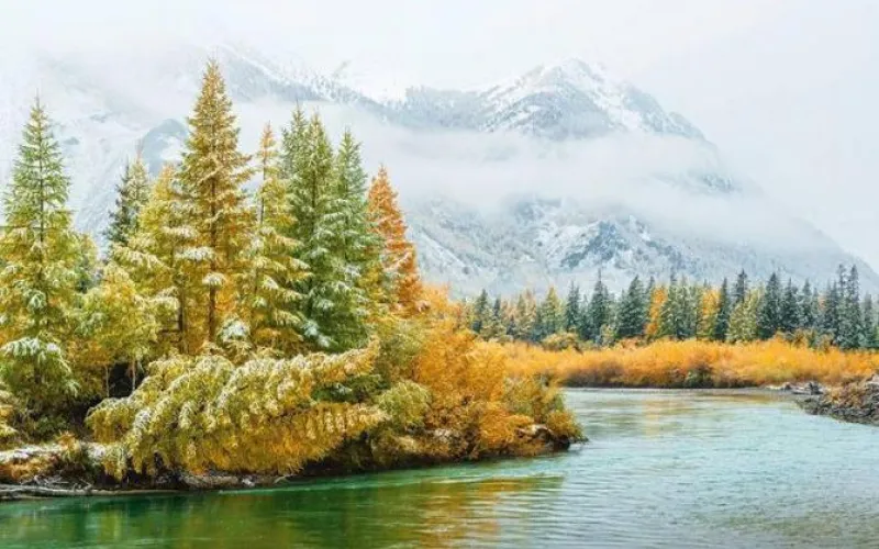 Снимок барнаульца попал в финал всероссийского фотоконкурса 