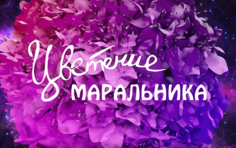 Парад моделей на Бирюзовой Катуни во время праздника «Цветение маральника»