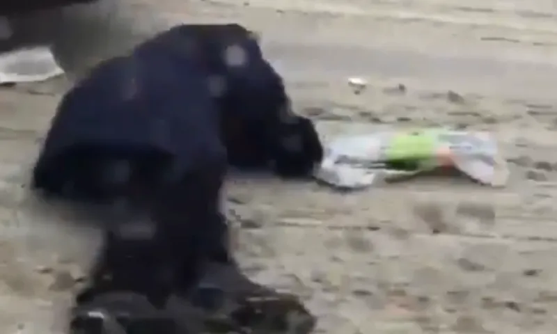 Бабушку сбили на дороге в Барнауле