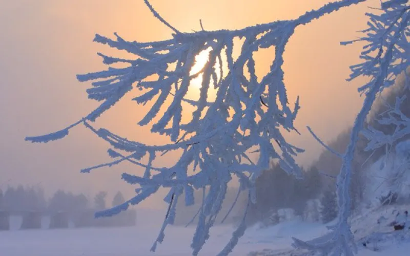 Морозное утро: где в Алтайском крае было холоднее всего