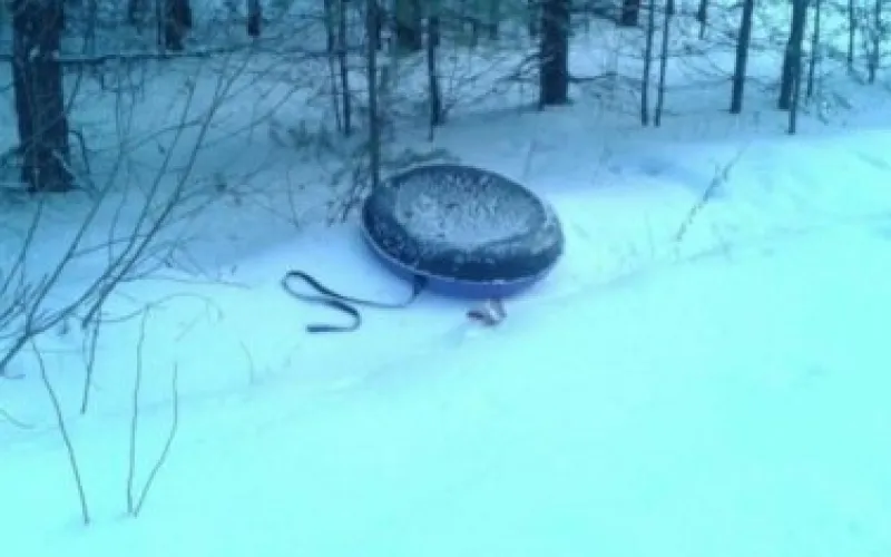 Алтайские следователи начали проверку из-за травмы ребенка в Бийске