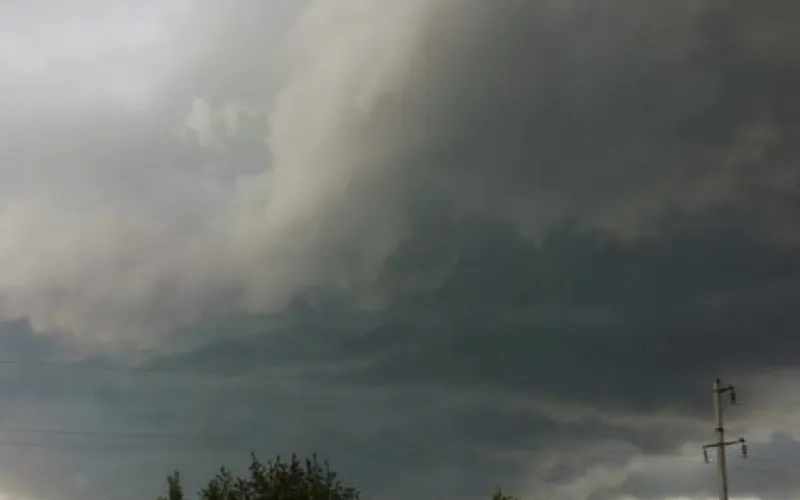 Штормовой ветер ожидается в Алтайском крае