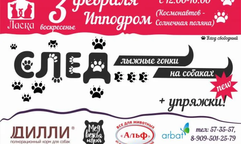 Гонки лыжников на собаках «След-2019» пройдут на Барнаульском ипподроме