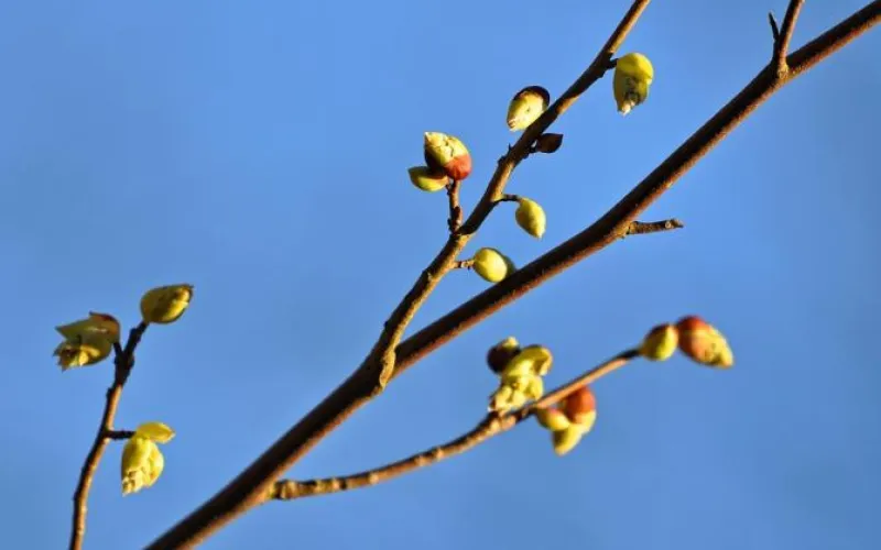 Резко в плюс: до +20 градусов потеплеет в Алтайском крае