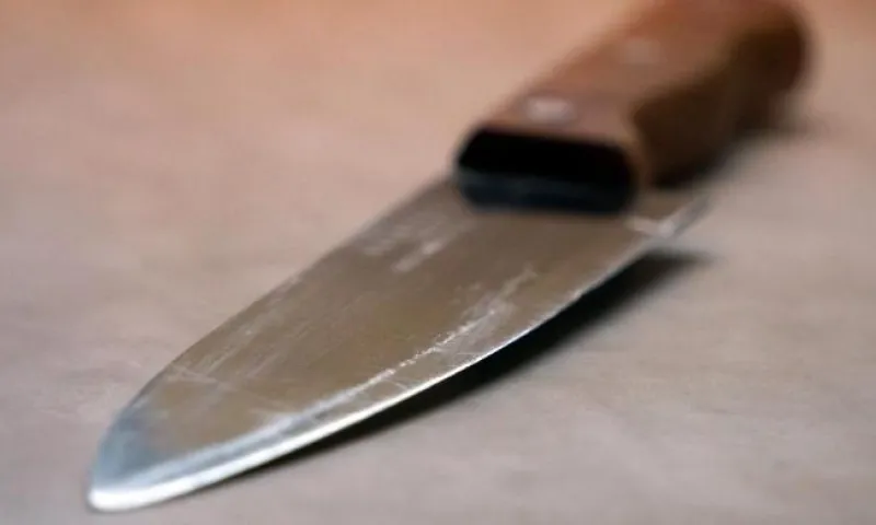 Жительница Алтайского края пыталась убить сожителя за оскорбления 