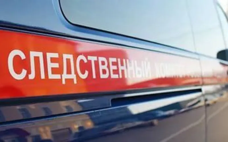 Уголовное дело возбудили из-за исчезновения барнаульской школьницы