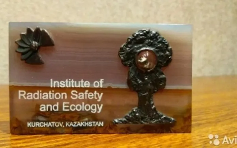 Житель Барнаула продаёт частицу земли с Семипалатинского ядерного полигона за 1 млн рублей