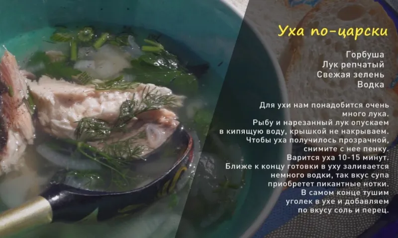 «Утренний канал»: уха по-царски