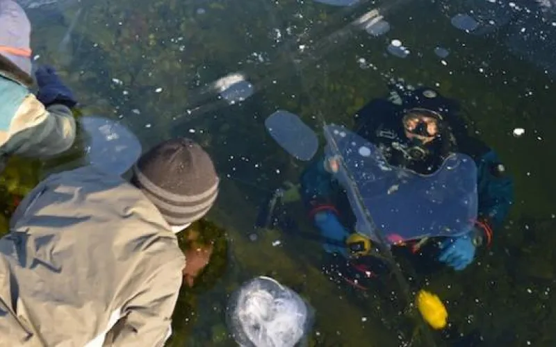 Озеро Телецкое полностью замёрзло 