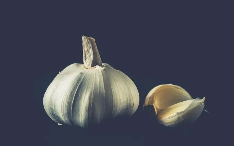 «Лекарство от всех болезней»: ученые открыли неожиданную пользу чеснока