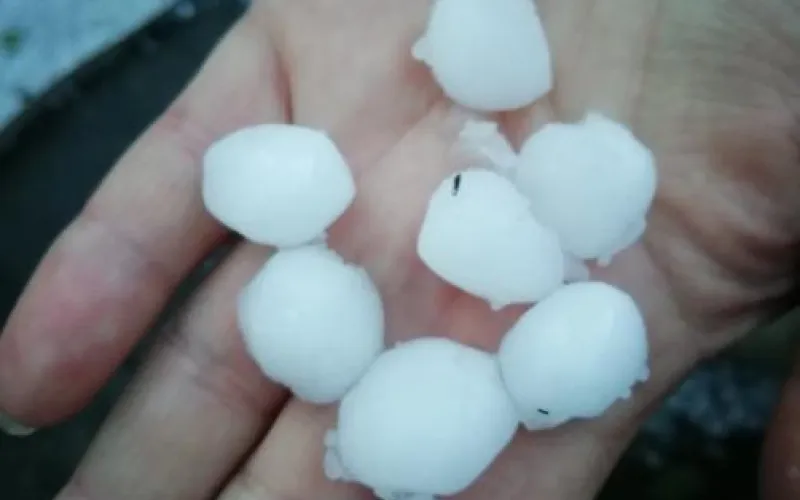 Крупный град выпал во время грозы в Бийске