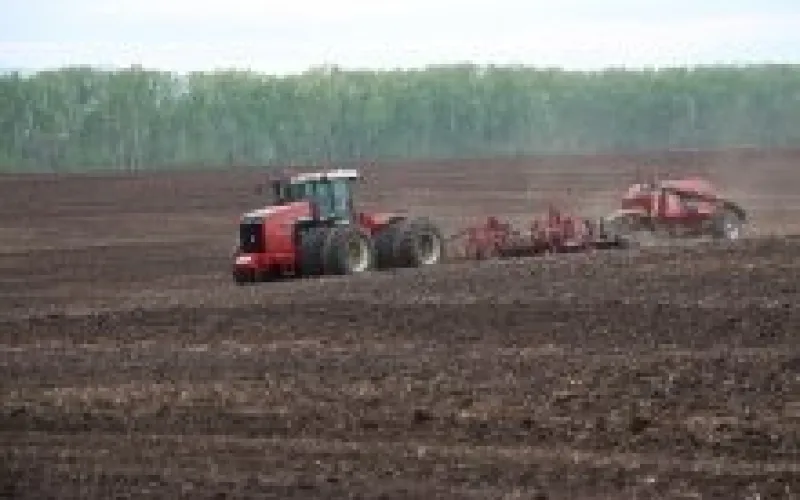 Посевная кампания продолжается в Алтайском крае