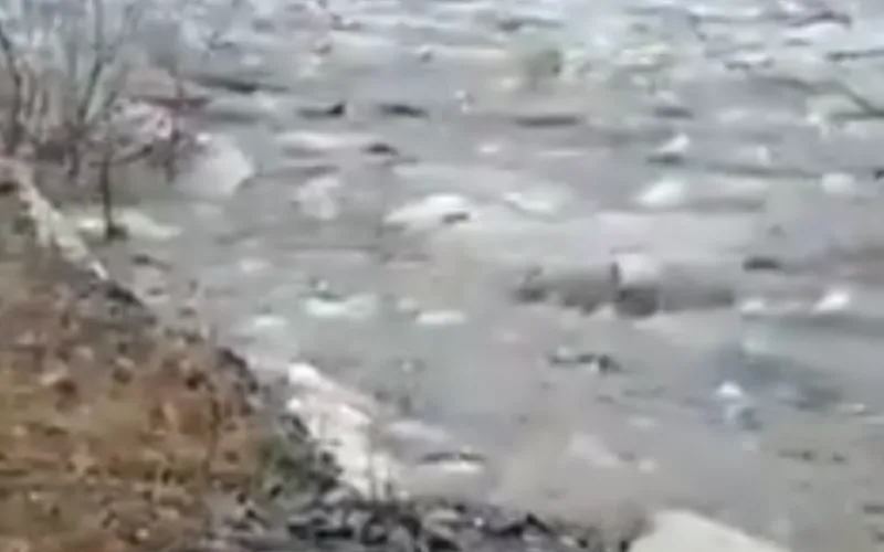 Ледоход начался на реке Ануй