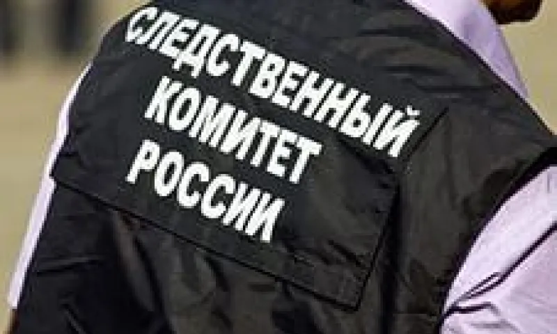 Братья связали и избили бывшего зятя в Алтайском крае