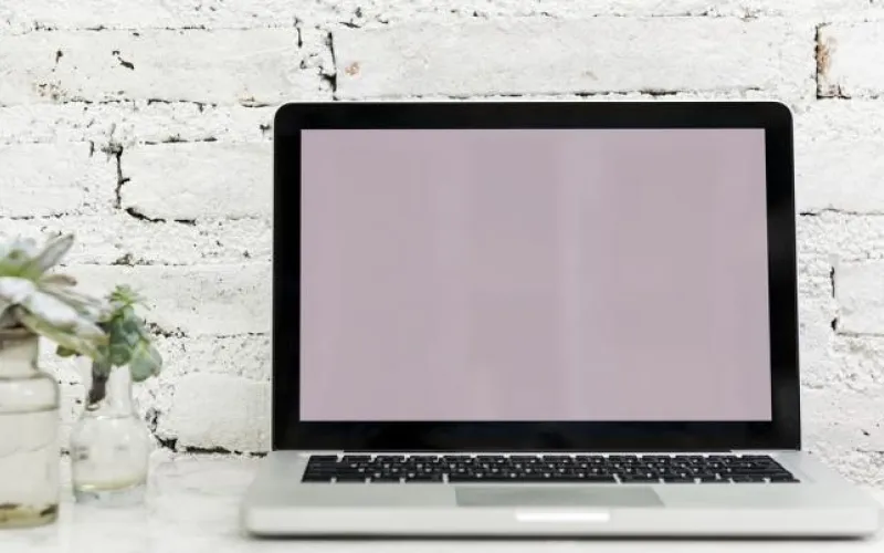 Обучение по одной из самых востребованных специальностей в России введут в Алтайском архитектурно-строительном колледже