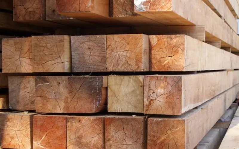 Жители Алтайского края, жильё которых пострадало от стихийного бедствия, смогут бесплатно получать древесину вне очереди 