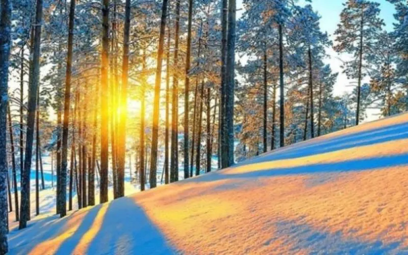 Резкое потепление идет в Алтайский край