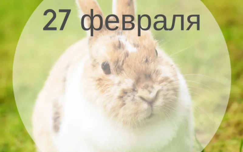 Планы на день: 27 февраля – что интересного будет сегодня?