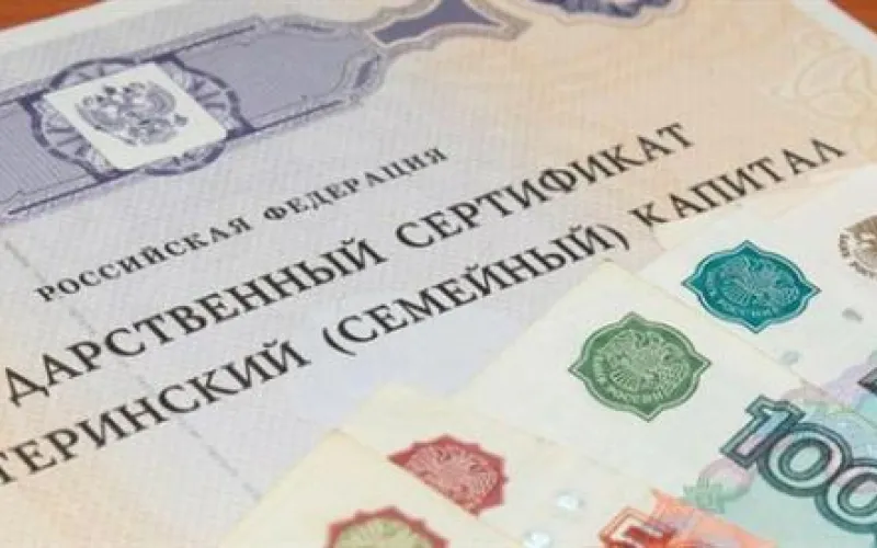 Активисты ОНФ: куда обратиться, если возникли проблемы с оформлением материнского капитала