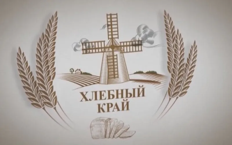 «Хлебный край»: о важности долгосрочного планирования посевных площадей на Алтае