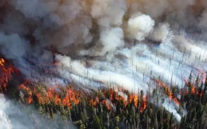 Опубликован прогноз ЧС в Алтайском крае на 21 апреля 