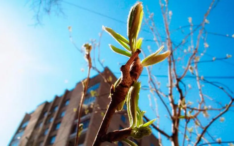 Почти +20: в Алтайском крае значительно потеплеет