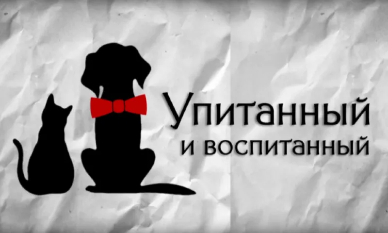 «Упитанный и воспитанный»: выпуск 2
