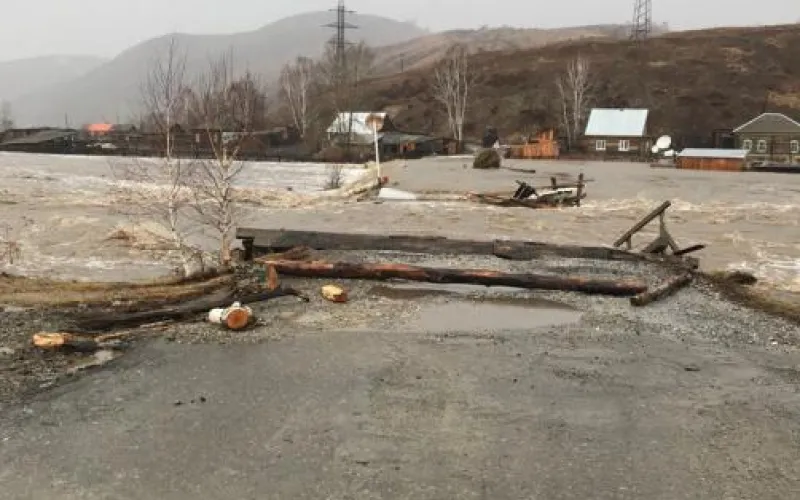 Село Солонешное оказалось затоплено за два часа