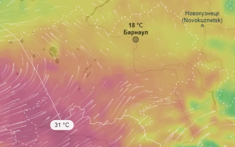 Тридцатиградусная жара придет в Алтайский край