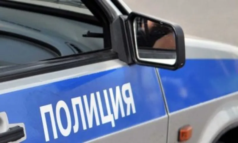 Автослесаря из Алтайского края осудят за угон автомобиля, оскорбление полицейского и избиение девушки