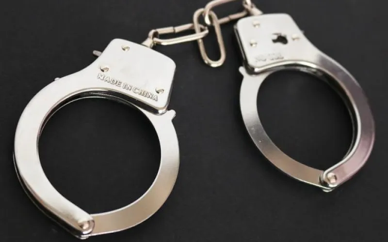 Подозреваемого в педофилии задержали в Барнауле 