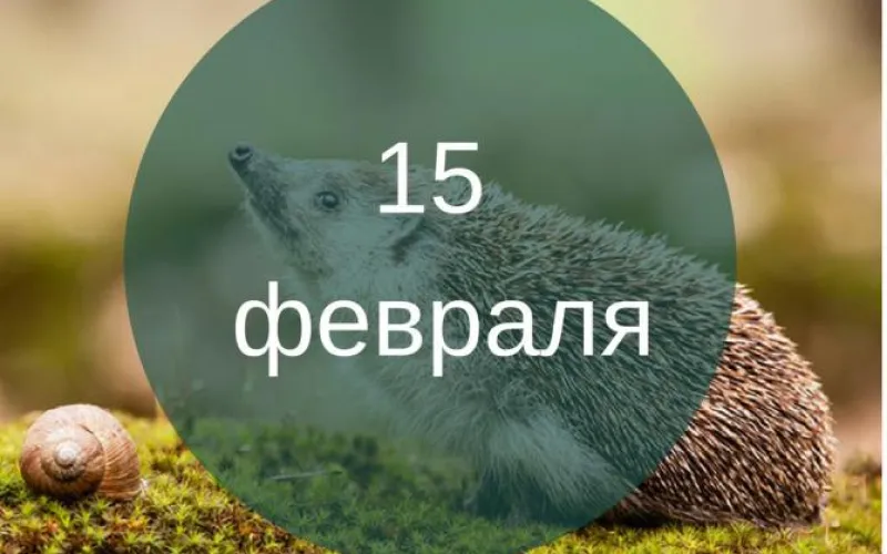 Планы на день: 15 февраля – куда можно сходить, а чего остерегаться? Расскажем, чего ждать от этого дня