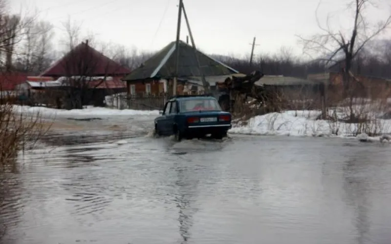 Сильный ветер и осадки: о погоде в Алтайском крае 25 марта