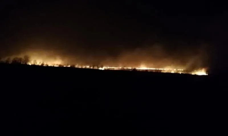 Стена огня движется в сторону Заринска