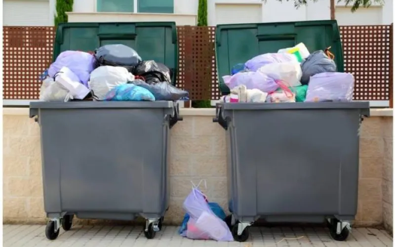 Семь «мусорных» региональных операторов появятся в Алтайском крае