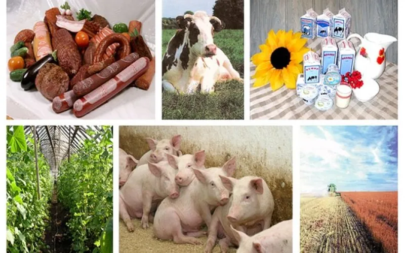 Почти 10 млрд рублей составил объем производства сельхозпродукции в Алтайском крае за 2 месяца 2018 года