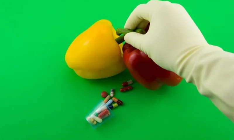 Маркировка продуктов с ГМО стала обязательной в России