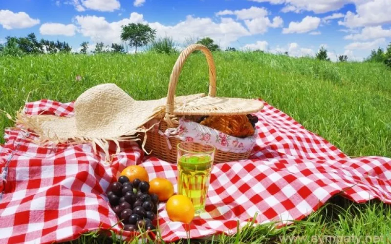 Рассказываем, как отдохнуть на природе без вреда здоровью 