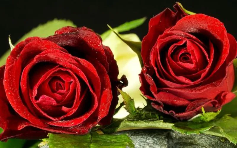 Романтик из Новоалтайска получил срок за кражу 30 тысяч рублей