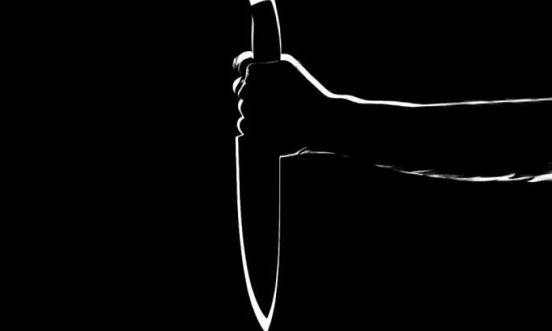 Жителей Бийска осудят за убийство, совершённое с особой жестокостью 