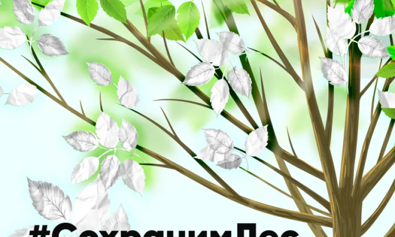 Всероссийская акция по сбору макулатуры #СохранимЛес пройдет в Барнауле