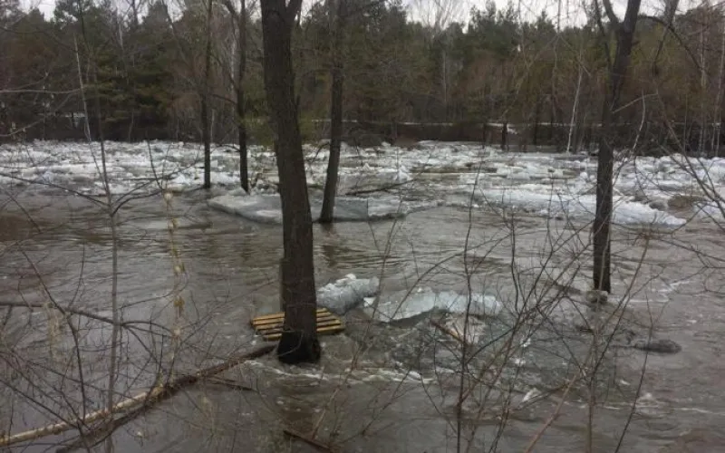 Уровень воды в Оби в Барнауле существенно вырос