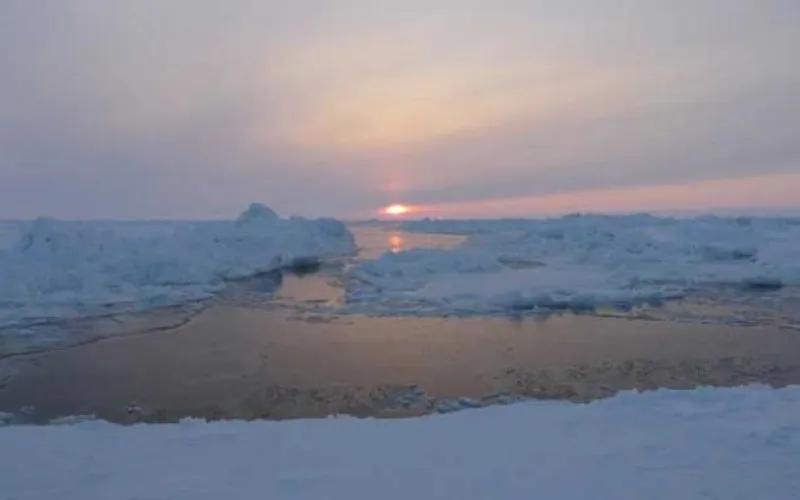 Девочка утонула в Алтайском крае 