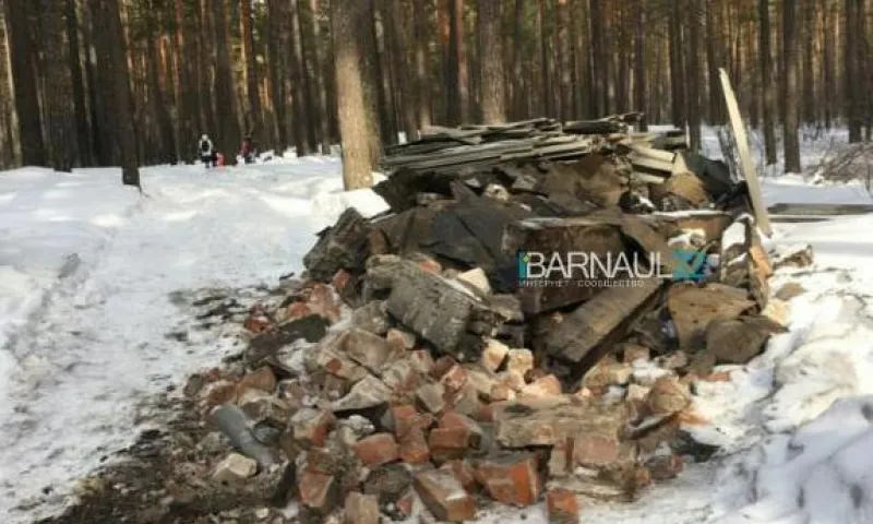 Свалку в ленточном бору ликвидировали в Барнауле