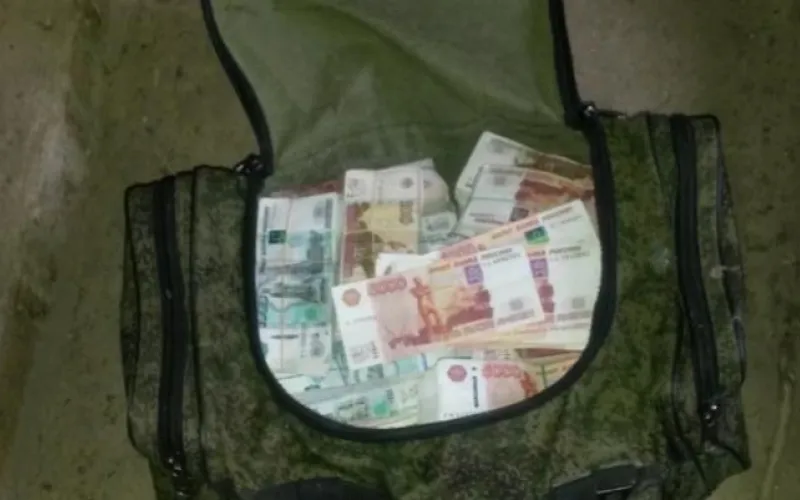 Глава ПФР назвал сумму, которую направят на пенсии за счёт коррупционеров в России