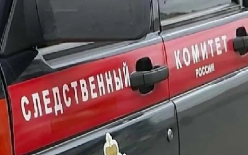 Подростки избили девочку в Алтайском крае 