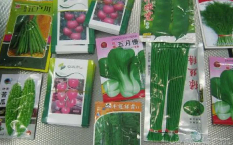 Странные семена обнаружили в Алтайском крае 